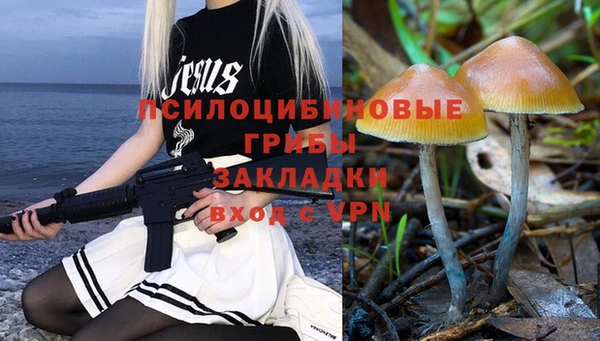 дурь Богородицк