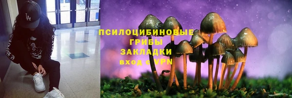 дурь Богородицк