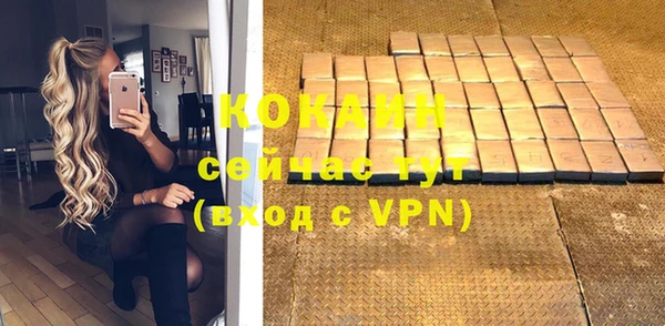 прущие грибы Белоозёрский