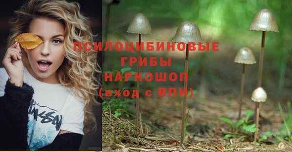 метамфетамин Богданович