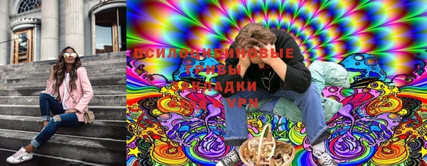 jwh Богородск